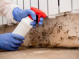 Best Black Mold Removal  in Pennsburg, PA